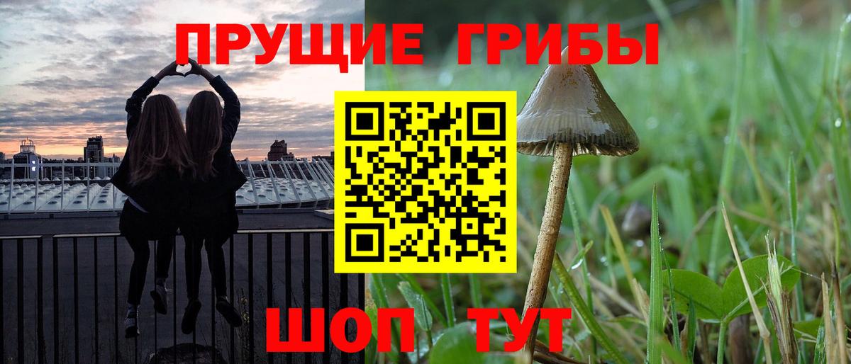 Курчатов  Галлюциногенные грибы ЛСД  как найти закладки  Вход с VPN 