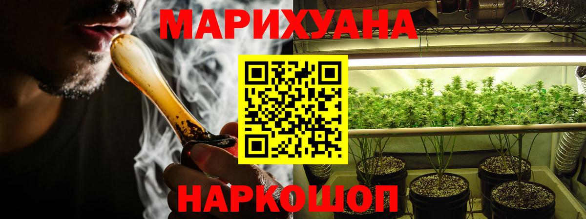 Шишки марихуана семена Курчатов